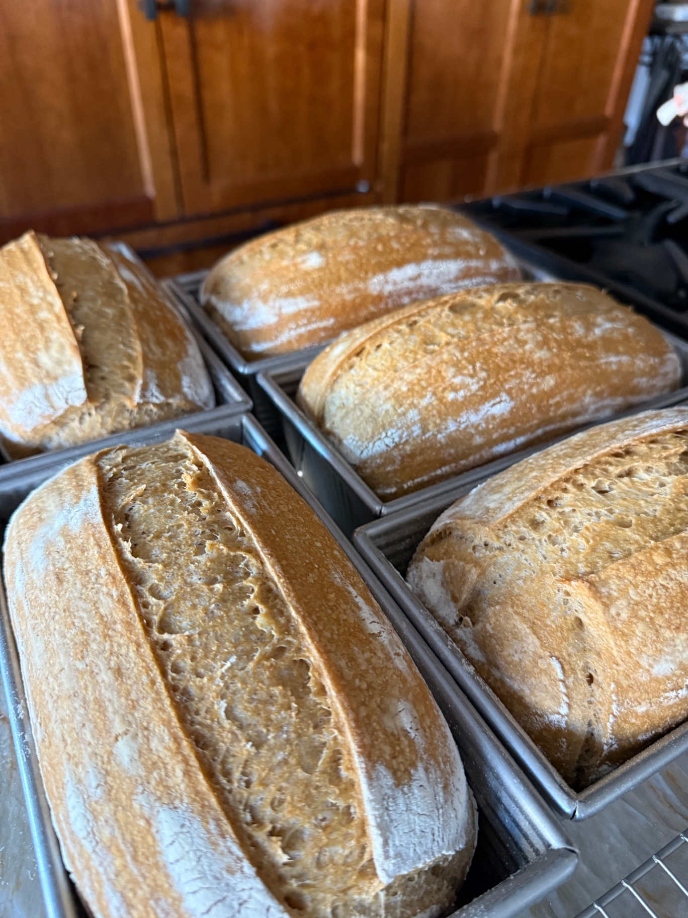 Freshly baked pan-style daily sourdough loaves resting in their tins